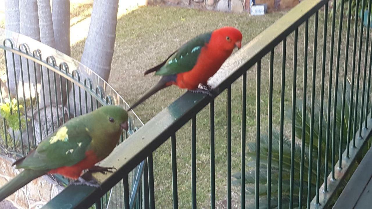 Lägenhet på 40 m² i Sutherland Shire, med 1 sovrum och 1 badrum  Exteriör bild